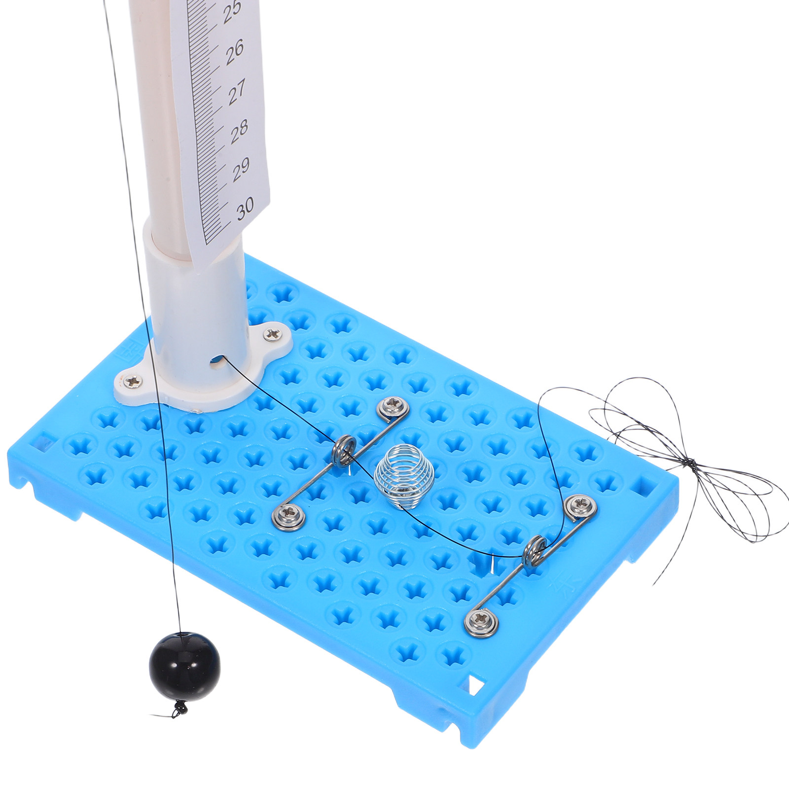 Kids Science Experiment Kit Sp - Party Games Physical 评论和价格